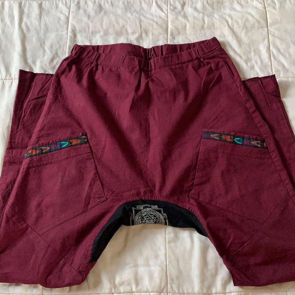 Men’s Seed Hiram pants